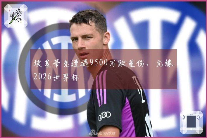 埃基蒂克遭遇9500万欧重伤，无缘2026世界杯