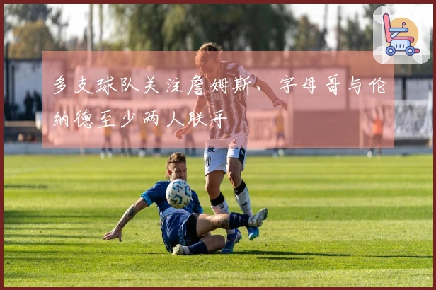 多支球队关注詹姆斯、字母哥与伦纳德至少两人联手