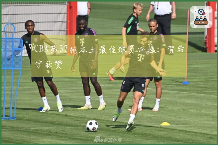 CBA第37轮本土最佳球员评选：贺希宁获赞